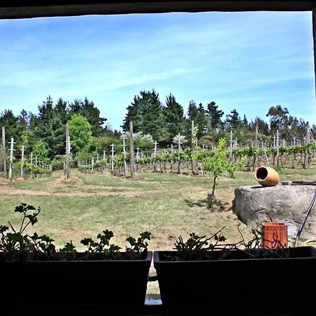 H&ap Rural Merrutxu Ibarrangelu